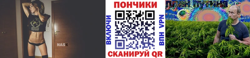 Бошки марихуана VHQ Будённовск